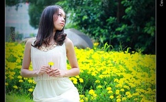 ぱらだいす天堂下载官网